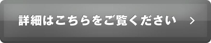 詳細はこちらをご覧ください