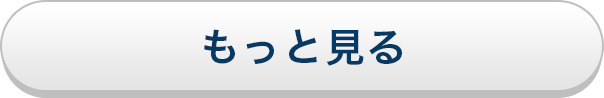 もっと見る